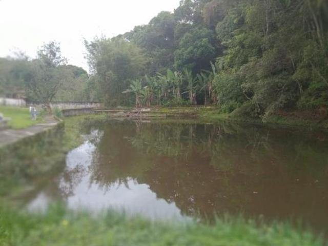 Sítio e chácara venda em Juquitiba