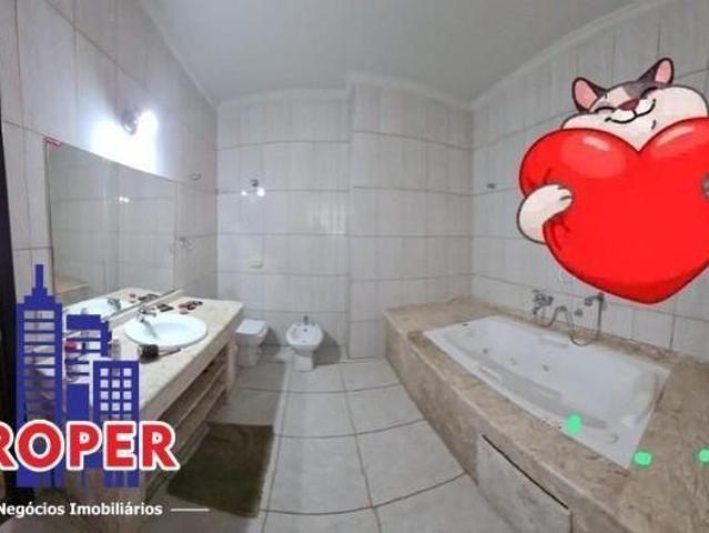 Sítio e chácara venda em São João Novo, São Roque