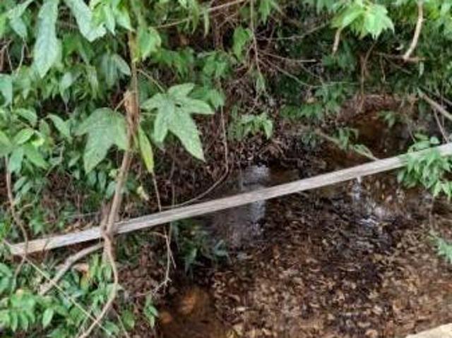 Sítio e chácara venda em Região Geográfica Imediata de Belo Horizonte, Região Metropolitana de Belo Horizonte