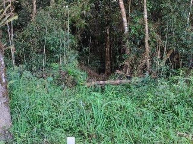 Sítio e chácara venda em Região Geográfica Imediata de Curitiba, Região Metropolitana de Curitiba