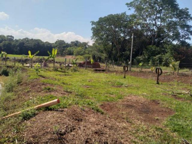 Sítio e chácara venda em Região Geográfica Imediata de Maringá, Doutor Camargo