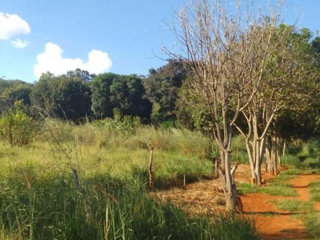 Sítio e chácara venda em Região Geográfica Imediata do Distrito Federal, Região Integrada de Desenvolvimento do Distrito Federal e Entorno