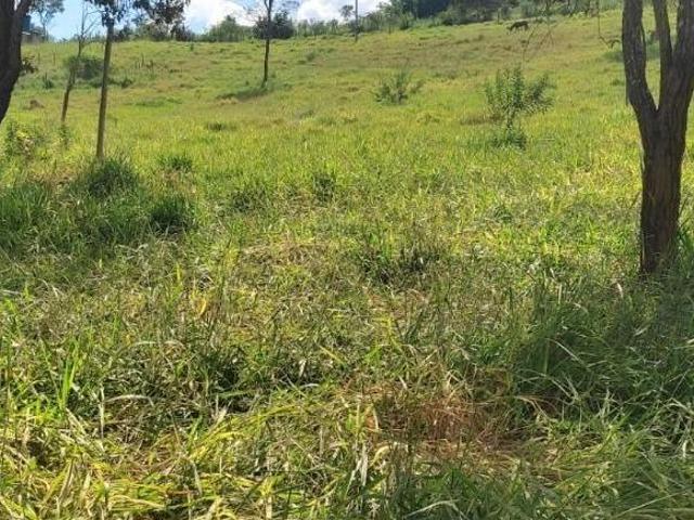 Sítio e chácara venda em Piracema