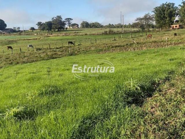 Sítio e chácara venda em Pau-a-Pique, Santa Maria
