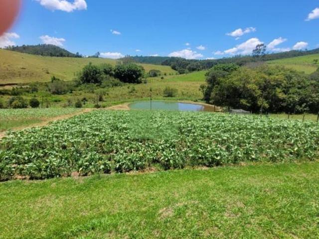 Sítio e chácara venda em Biritiba Mirim