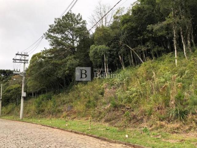 Terreno venda em Região Geográfica Imediata de Caxias do Sul, Canela