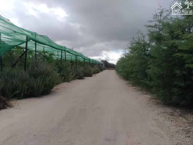 Casa venda em Abrantes, Santarém