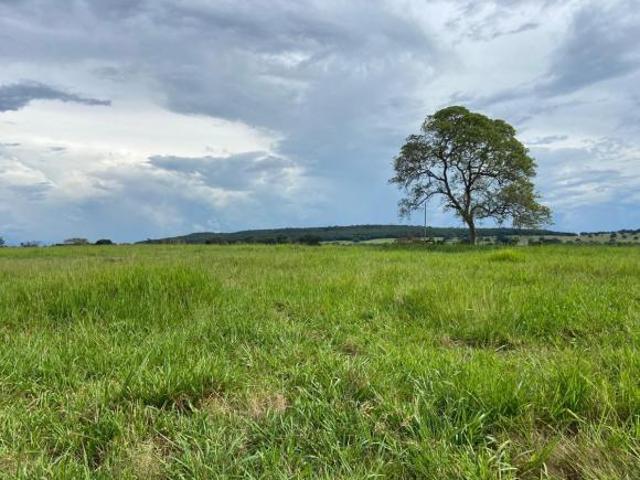 Sítio e chácara venda em Região Geográfica Imediata de Quirinópolis, Quirinópolis