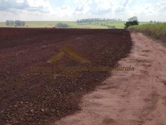 Sítio e chácara venda em Região Imediata de Araraquara, Araraquara