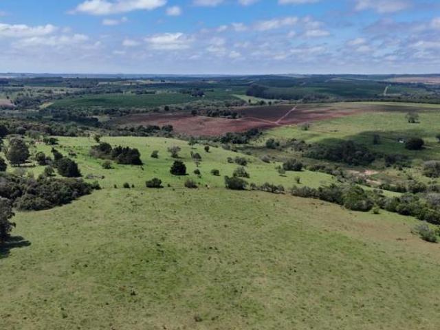 Sítio e chácara venda em Avaré