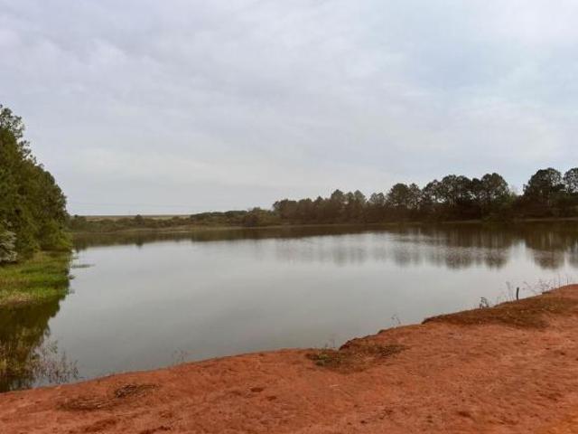Sítio e chácara venda em Região Imediata de Itapeva, Itaberá