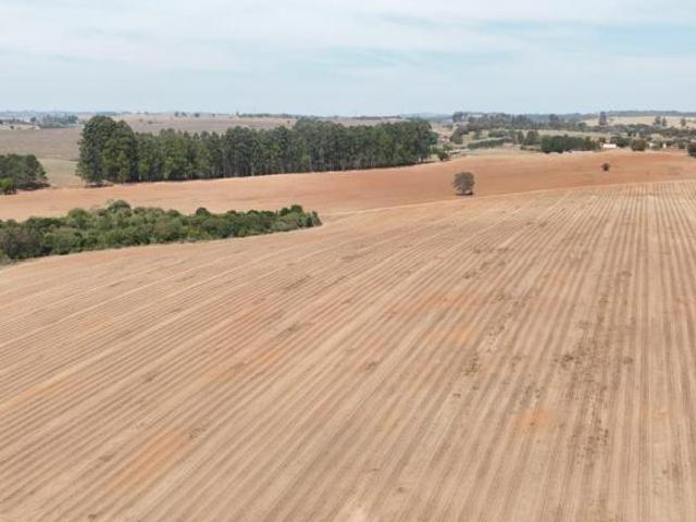 Sítio e chácara venda em Angatuba