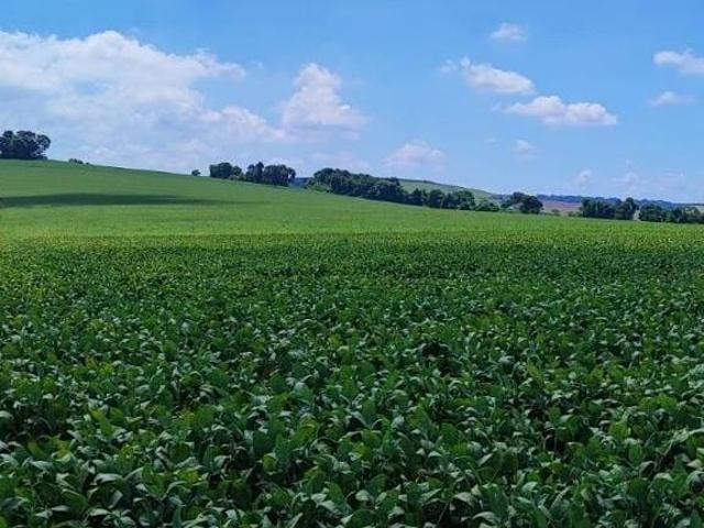 Sítio e chácara venda em Região Imediata de Avaré, Paranapanema