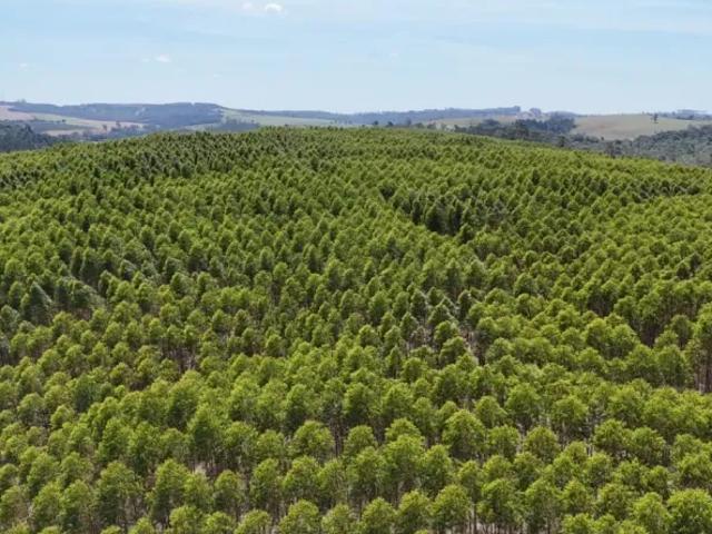 Fazenda venda em Região Imediata de Itapetininga, Região Metropolitana de Sorocaba
