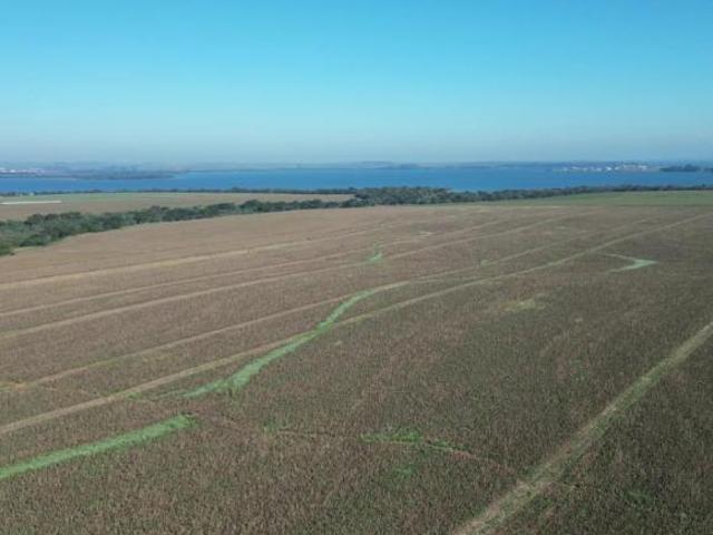 Sítio e chácara venda em Sertaneja, Região Geográfica Intermediária de Londrina