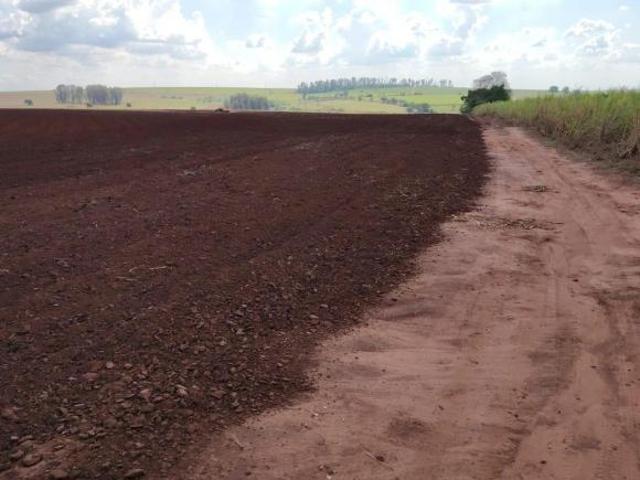 Sítio e chácara venda em Região Imediata de Araraquara, Borborema