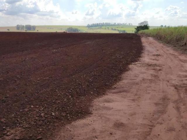 Sítio e chácara venda em Região Imediata de Araraquara, Araraquara