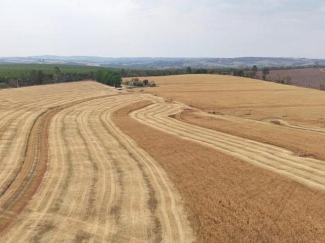 Sítio e chácara venda em Angatuba