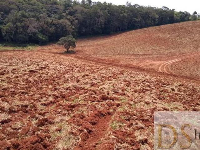 Sítio e chácara venda em Região Imediata de Itapeva, Itapeva
