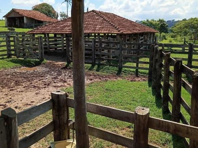 Sítio e chácara venda em Região Imediata de Marília, Marília
