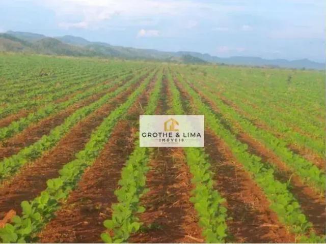 Fazenda venda em Região Geográfica Imediata de Porto Nacional, Silvanópolis