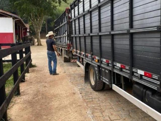 Sítio e chácara venda em Região Imediata de Cruzeiro, Região Metropolitana do Vale do Paraíba e Litoral Norte