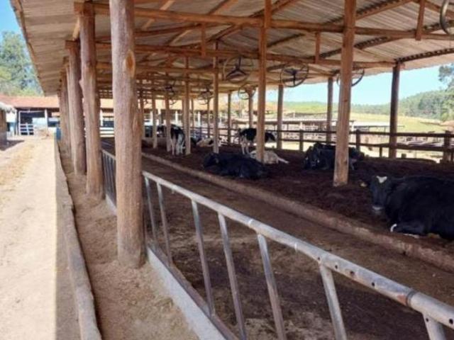 Sítio e chácara venda em Região Imediata de Cruzeiro, Região Metropolitana do Vale do Paraíba e Litoral Norte