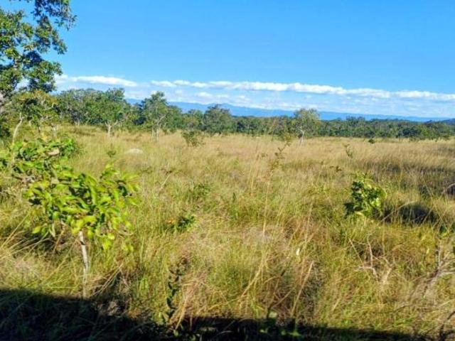 Sítio e chácara venda em Região Geográfica Imediata de Flores de Goiás, Cavalcante