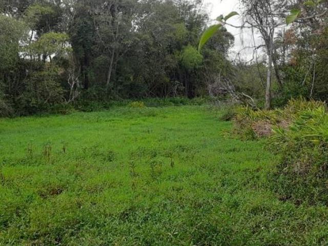 Sítio e chácara venda em Região Geográfica Imediata de Passos, Passos