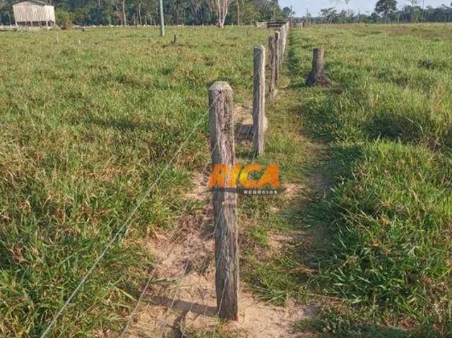 Fazenda venda em Região Geográfica Imediata de Lábrea, Boca do Acre