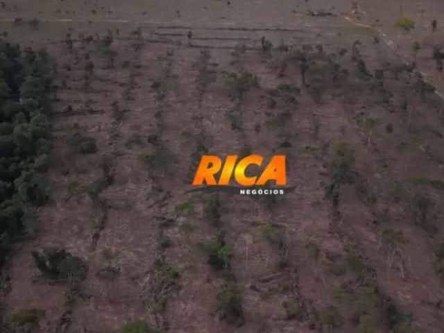 Fazenda venda em Região Geográfica Imediata de Porto Velho, Porto Velho