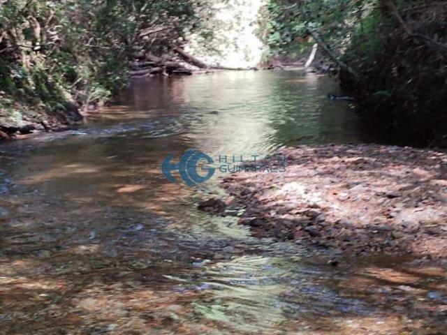 Sítio e chácara venda em Região Geográfica Imediata de Santa Bárbara - Ouro Preto, Ouro Preto