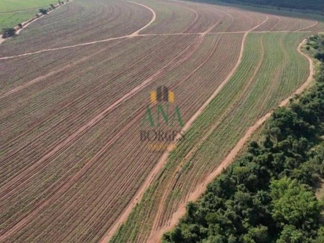 Sítio e chácara venda em Região Imediata de Araraquara, Araraquara