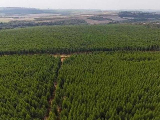 Sítio e chácara venda em Região Imediata de Sorocaba, Região Metropolitana de Sorocaba
