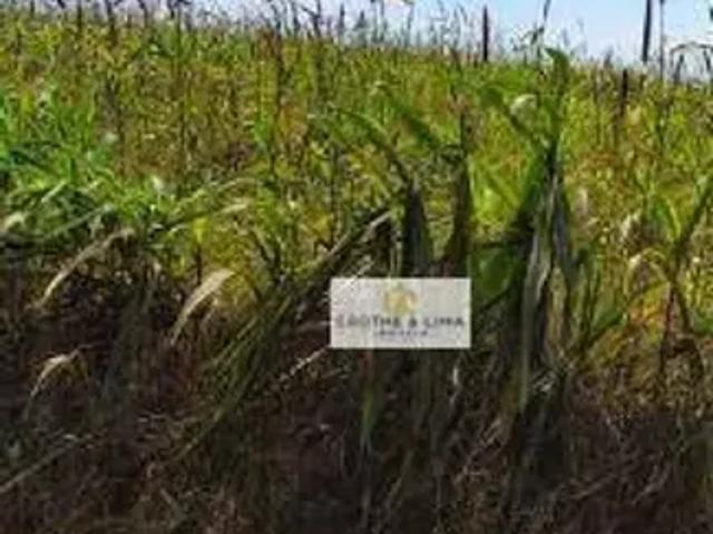 Fazenda venda em Davinópolis, Região Nordeste