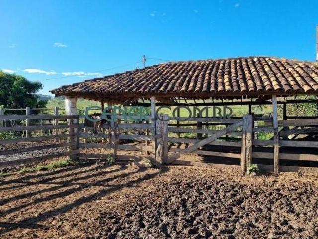 Sítio e chácara venda em Região Geográfica Imediata de Divinópolis, Itaúna