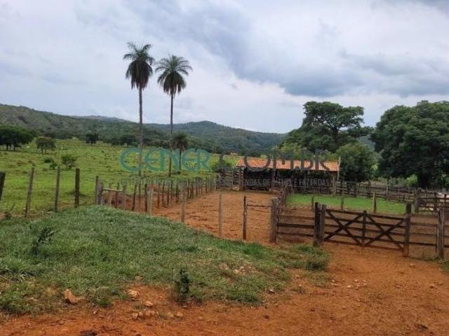 Sítio e chácara venda em São Vicente, Baldim