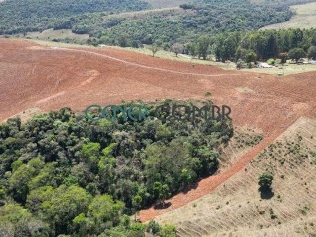 Sítio e chácara venda em Região Geográfica Imediata de Sete Lagoas, Região Metropolitana de Belo Horizonte