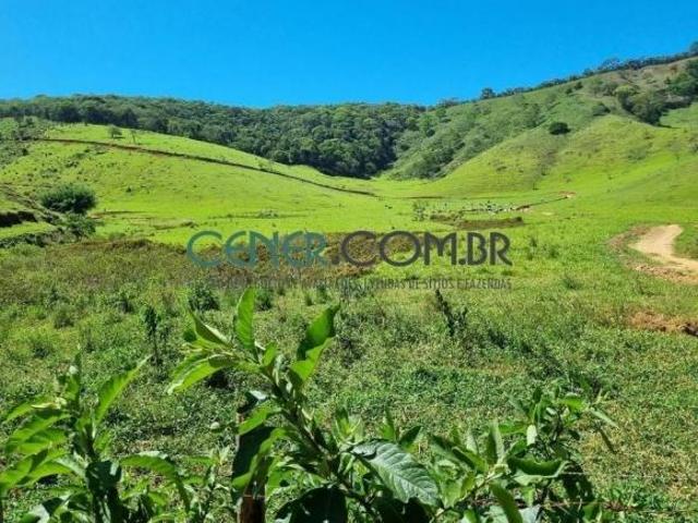 Sítio e chácara venda em Região Geográfica Imediata de Ponte Nova, Ponte Nova