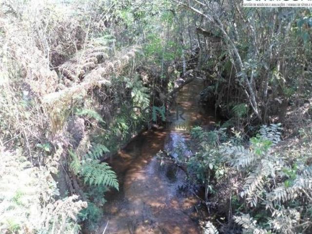 Sítio e chácara venda em Região Geográfica Imediata de Sete Lagoas, Região Metropolitana de Belo Horizonte