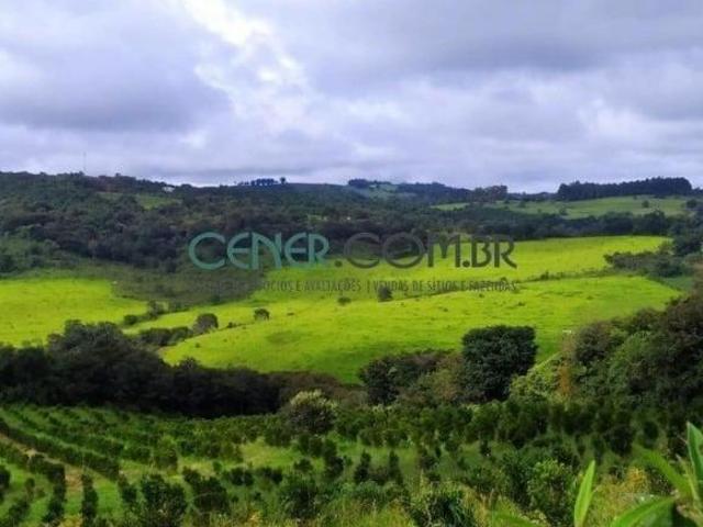 Sítio e chácara venda em Região Geográfica Imediata de Belo Horizonte, Moeda