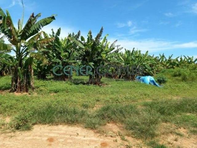 Sítio e chácara venda em Diamantina, Região Geográfica Intermediária de Teófilo Otoni