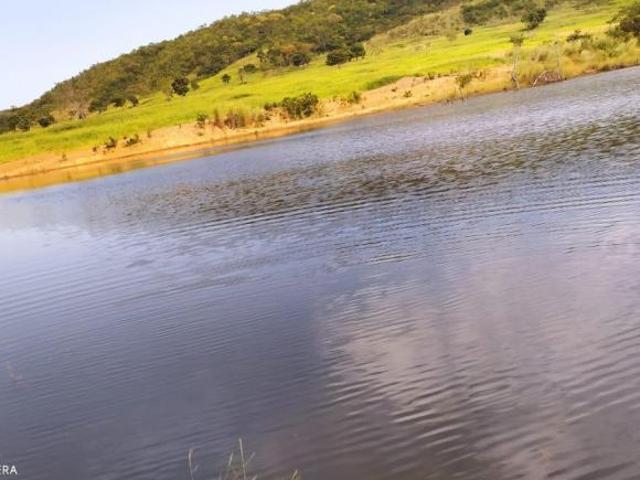Sítio e chácara venda em Região Imediata de Fernandópolis, Fernandópolis