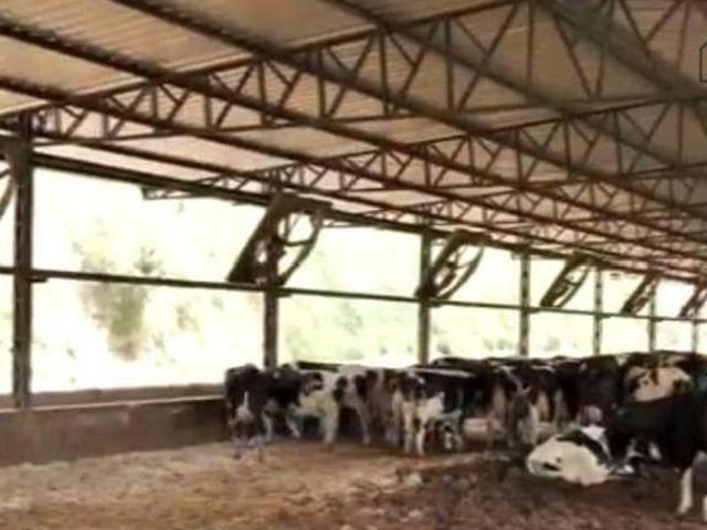 Sítio e chácara venda em Região Geográfica Imediata de Caxambu - Baependi, Cruzília