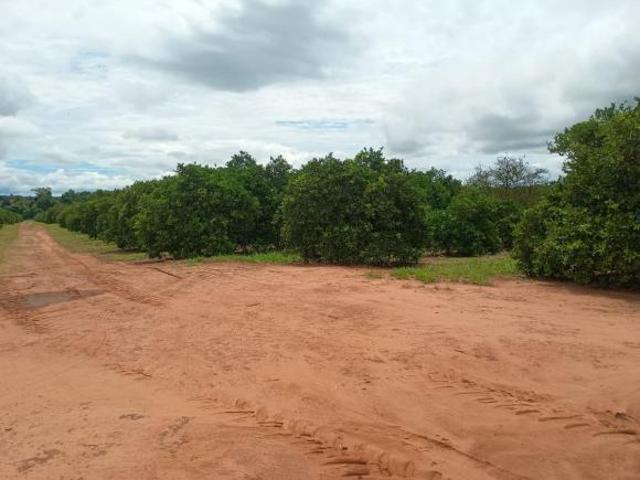 Sítio e chácara venda em Região Imediata de Marília, Marília