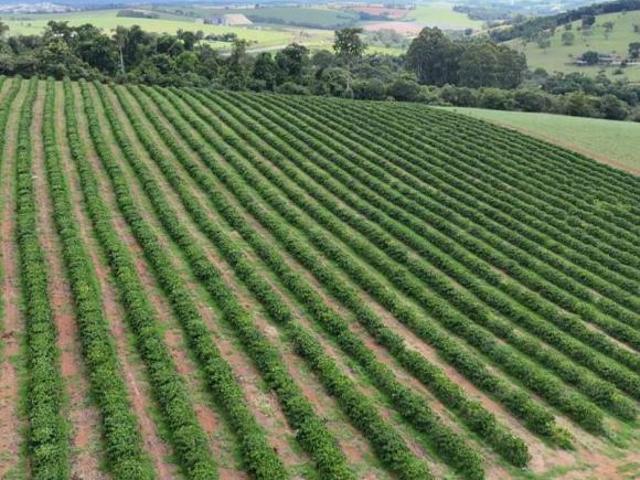 Sítio e chácara venda em Centro, Três Corações