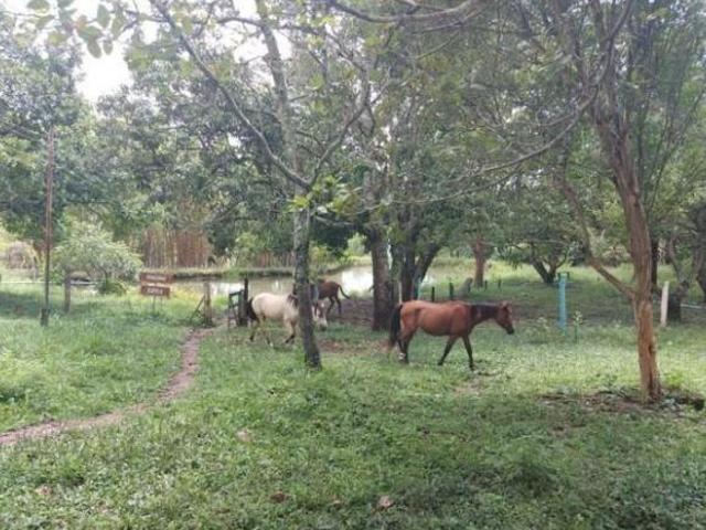 Sitio venda em Ceilândia