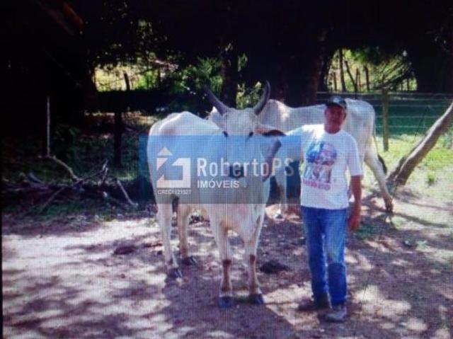 Sítio e chácara venda em Região Geográfica Imediata de São João del Rei, Região Sudeste