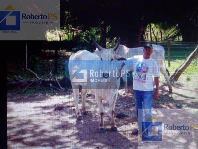 Sítio e chácara venda em Centro, Cambuí