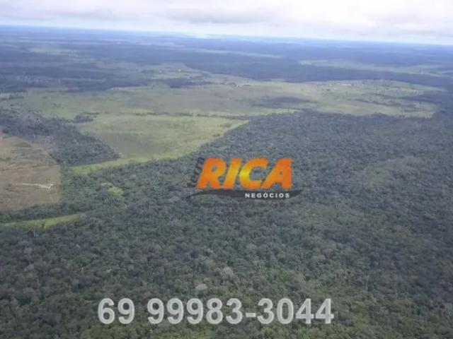 Fazenda venda em Região Geográfica Imediata de Porto Velho, Porto Velho